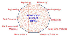 Biologically Inspired System Science